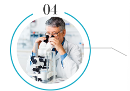 浙江旭日纖維有限公司主要生產(chǎn)和銷(xiāo)售浙江旭日纖維有限公司，冰絲、涼感PE纖維、中分子PE絲、丙綸細(xì)旦絲、玉米纖維、PLLA纖維、PLA纖維、玉米纖維FDY、丙綸DTY絲、丙綸超細(xì)旦絲、丙綸FDY細(xì)旦絲、丙綸絲、丙綸高強(qiáng)絲、丙綸普強(qiáng)絲、高強(qiáng)丙綸絲、丙綸FDY絲、丙綸長(zhǎng)絲、超細(xì)旦絲